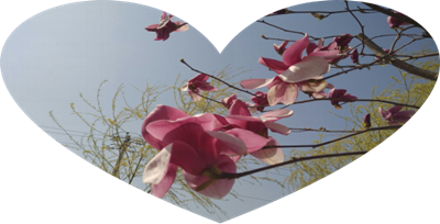 张文娴五言绝句九首(5)