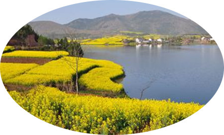 李虎山散文系列赏析之二(2)