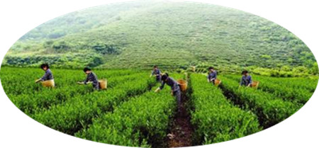 李虎山散文系列赏析之二(3)