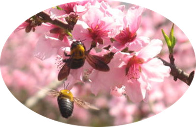 刘晓东现代诗歌欣赏(1)