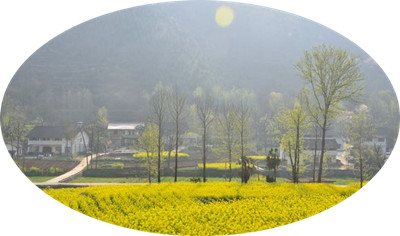 刘晓东现代诗歌欣赏(2)