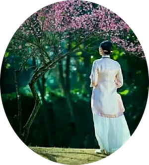 蒲芳雲现代诗三首欣赏(1)