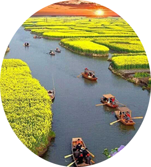 蒲芳雲现代诗三首欣赏(2)