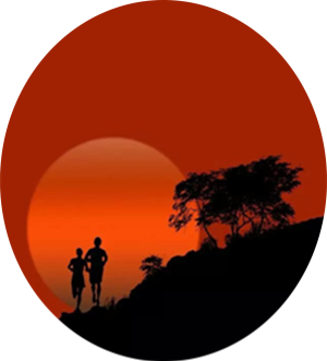 蒲芳雲现代诗三首欣赏(3)