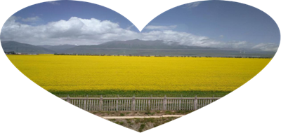 张梓林青海游即兴诗五首(3)