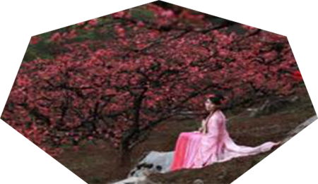  蔡润琴现代情诗八首欣赏(2)