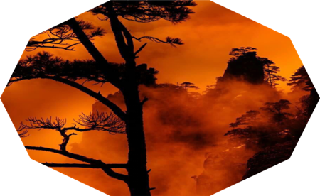  蔡润琴现代情诗八首欣赏(3)