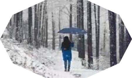  蔡润琴现代情诗八首欣赏(5)