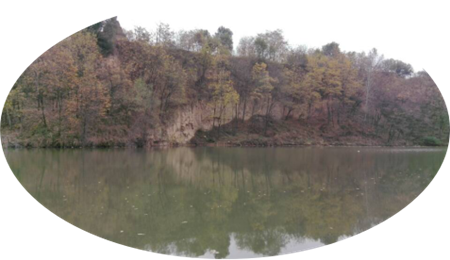  蔡润琴现代情诗八首欣赏(8)