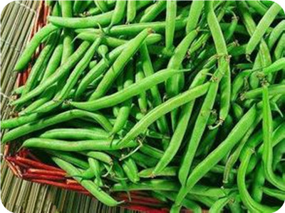 夏天生吃蔬菜需慎重:四季豆木耳不能生吃(1)
