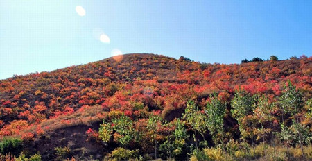 孙青峰短篇小说《叶落山涧》欣赏(1)