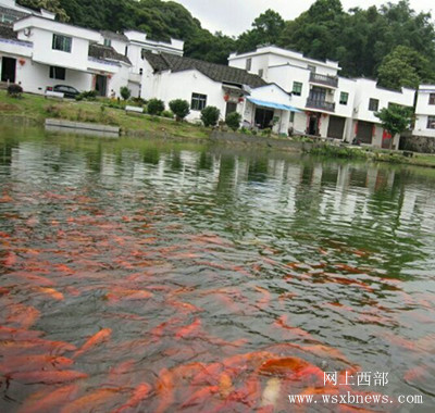 魅力宁德·蕉城——历史文化“上金贝村畲家寨”(2)