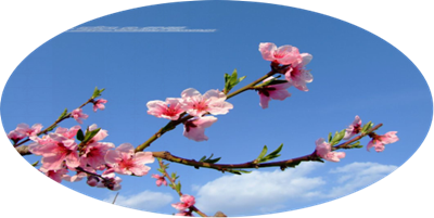 巩晓荣现代诗六首欣赏(1)