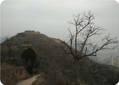 巩晓荣现代诗六首欣赏(2)