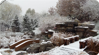 巩晓荣现代诗六首欣赏(4)