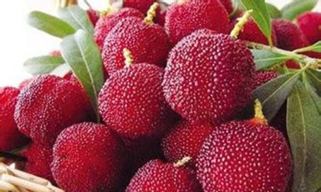 杨梅不能和黄瓜一起吃 还有这些也不行(1)