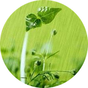 赵若果古体诗十首欣赏(6)