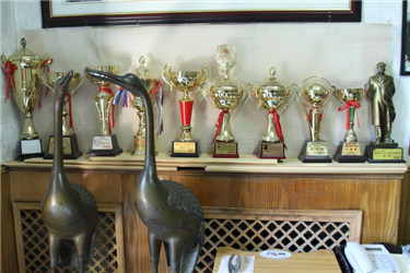 关爱抗战老兵，爱行天下(5)