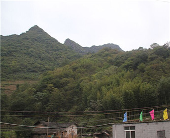 传承“三苦”精神   争做时代先锋(4)