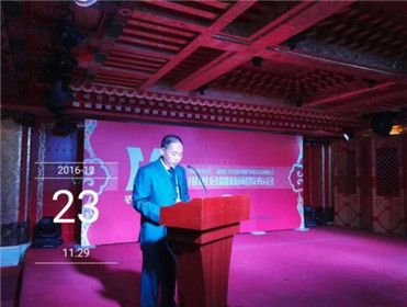 “吉祥中国·2017农民春节联欢晚会 ”(2)