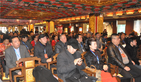 “吉祥中国·2017农民春节联欢晚会 ”(9)