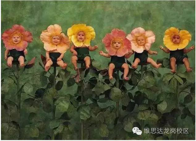 中国父母，这三种教育误区(2)