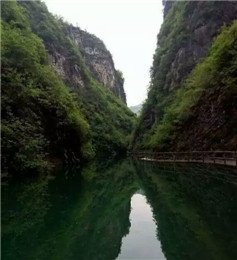 踏春不去山阳—去哪里？(4)