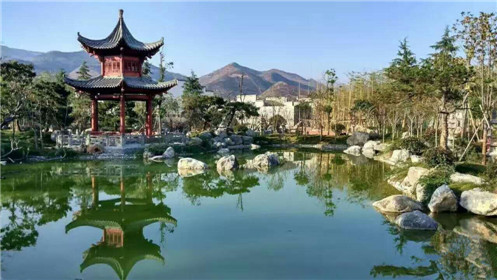 清明假日去哪儿？(6)