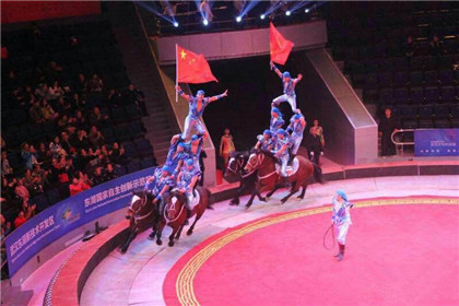 河北吴桥杂技大世界这个“五一”很江湖(2)