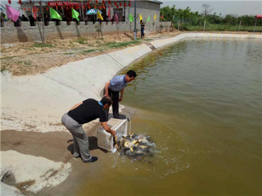 西安市临潼区“茂盛佳源”开业庆典隆重举行(6)