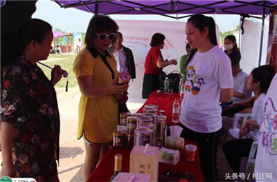 句容第四届桑果紫酒节启幕 万亩桑椹鲜果飘香(2)