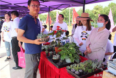 句容第四届桑果紫酒节启幕 万亩桑椹鲜果飘香(6)
