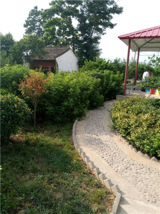 晁留村变了  美丽乡村在这里(5)