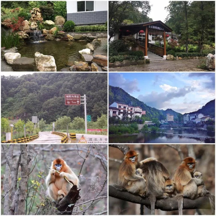 2017世界旅游小姐大赛·金色使者 陕西赛区正式启(4)