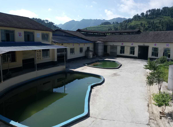 贵州仁怀市望成酿酒作坊，以诚信赢市场(2)