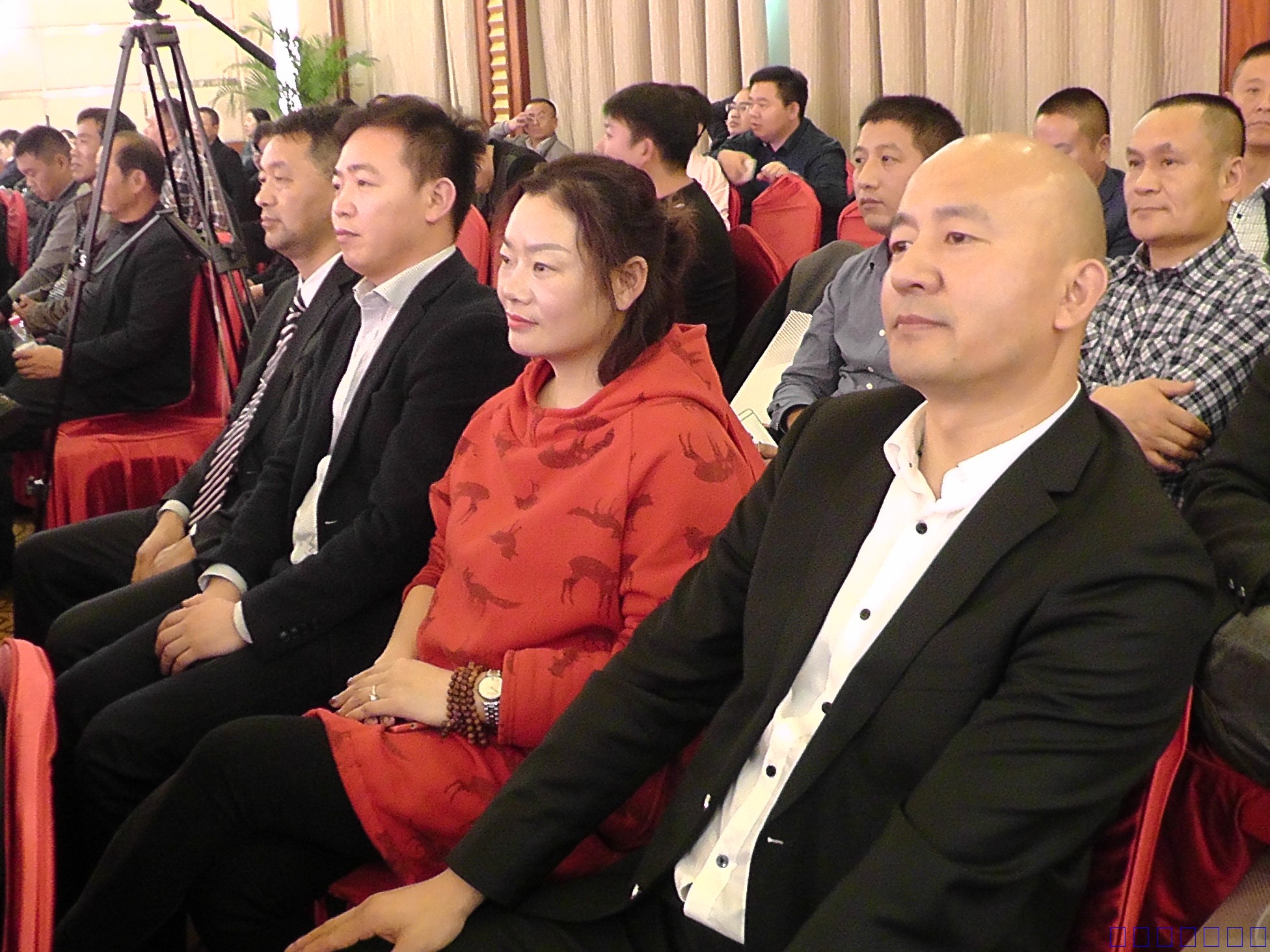 中国经贸文化网