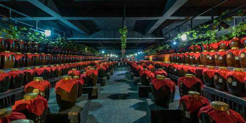 “春醒•忆老家”2018全国百家网络媒体河南行(3)