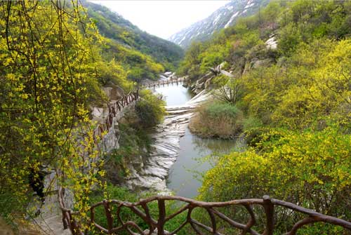 “春醒•忆老家”2018全国百家网络媒体河南行(7)