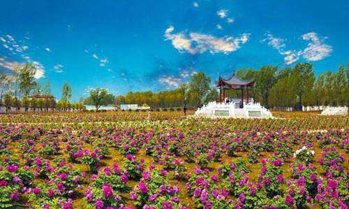 “春醒•忆老家”2018全国百家网络媒体河南行(9)