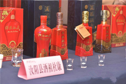 2018全国百家媒体河南行启动仪式在汝阳举行(16)