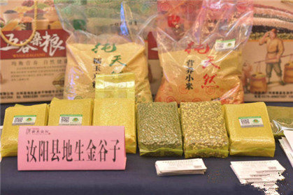 2018全国百家媒体河南行启动仪式在汝阳举行(21)