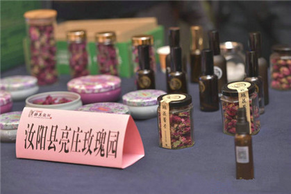 2018全国百家媒体河南行启动仪式在汝阳举行(22)