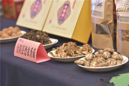 2018全国百家媒体河南行启动仪式在汝阳举行(20)