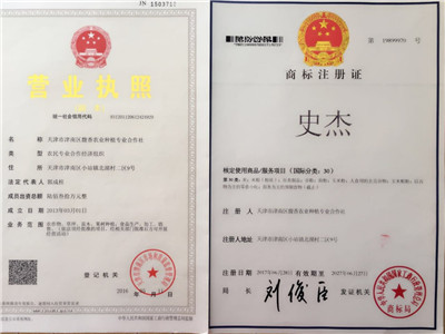 圆梦天津小站稻--记津南馥香种植专业合作社(2)