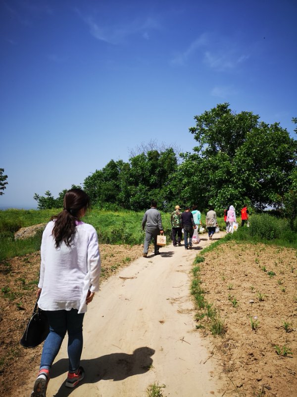 母亲节献爱心，壹加壹在行动(2)