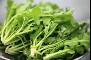 对眼睛好的食物，记得让孩子多吃！(1)