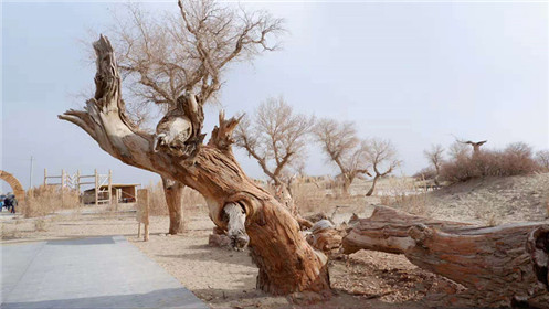 原创作品《疆魂》相约新疆、放飞梦想(1)