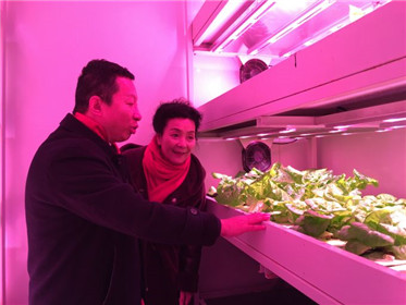 《黄土高天》剧热播走红杨凌“旭田植物工厂”(2)