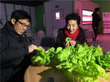 《黄土高天》剧热播走红杨凌“旭田植物工厂”(3)