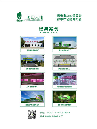 《黄土高天》剧热播走红杨凌“旭田植物工厂”(7)